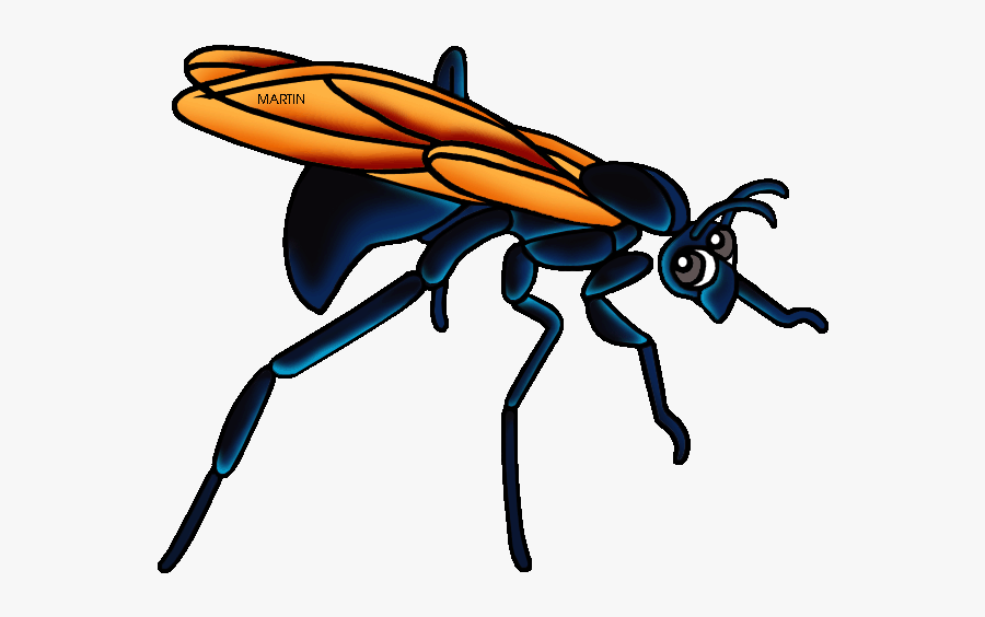 New Mexico State Insect Tarantula Hawk Wasp - Tarantula Hawk Wasp Clipart, Transparent Clipart