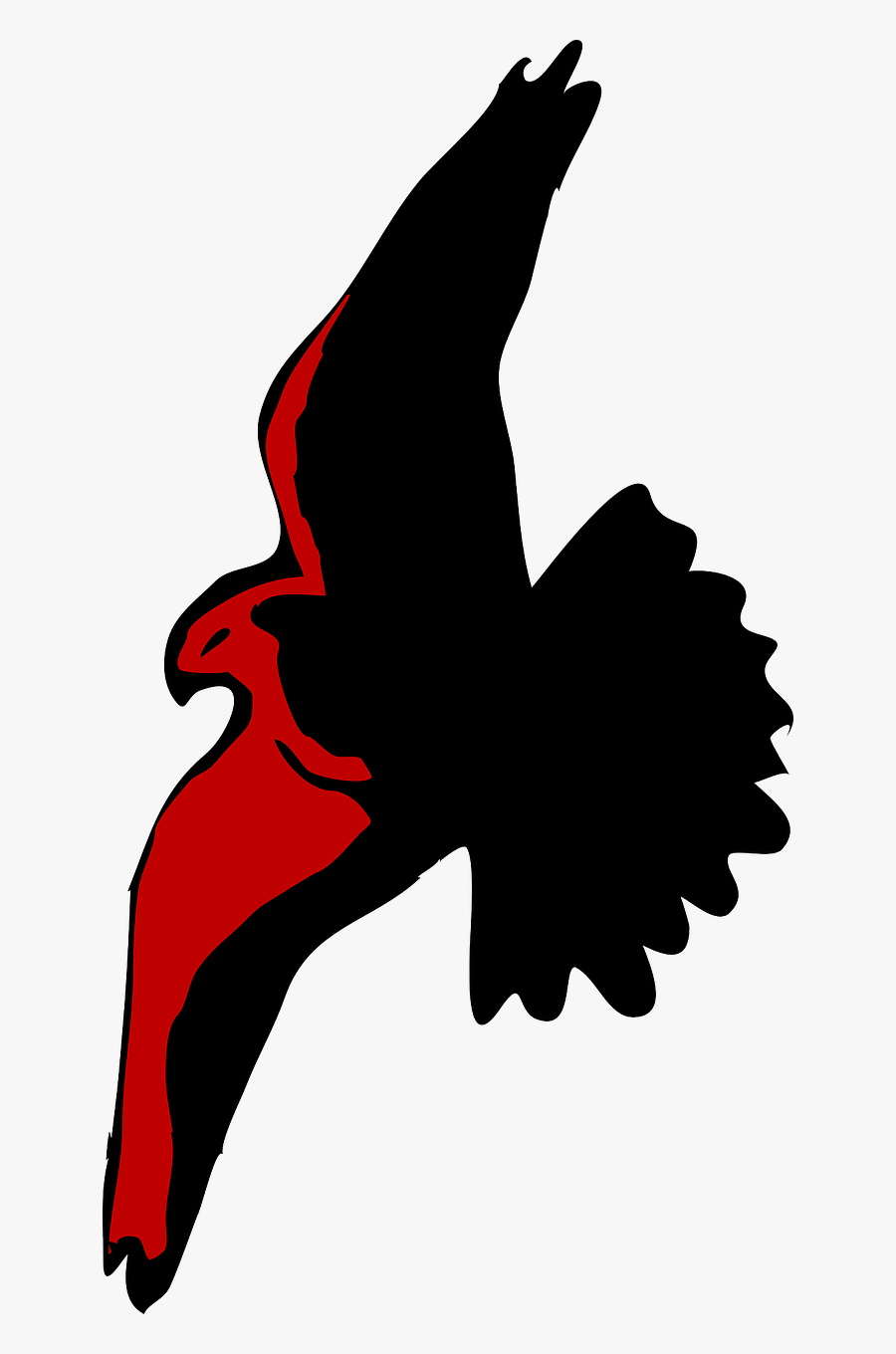 Transparent Eagle Flying Png - Cartoon Hawk Transparent, Transparent Clipart