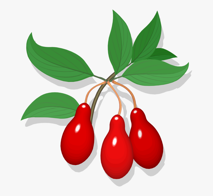 Plant,leaf,food, Transparent Clipart