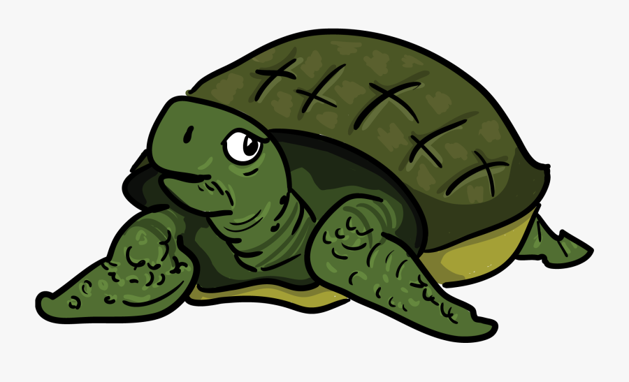 Turtoise Clipart Racing Turtle , Free Transparent Clipart - ClipartKey