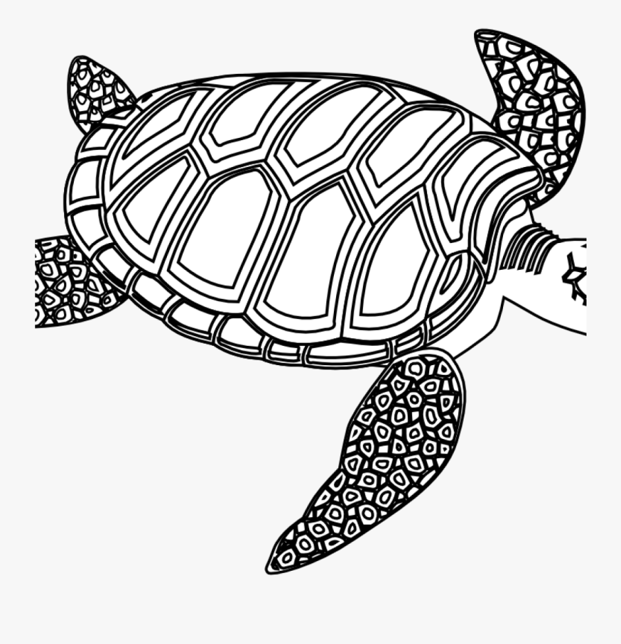 Birthday Clipart Turtle, Transparent Clipart