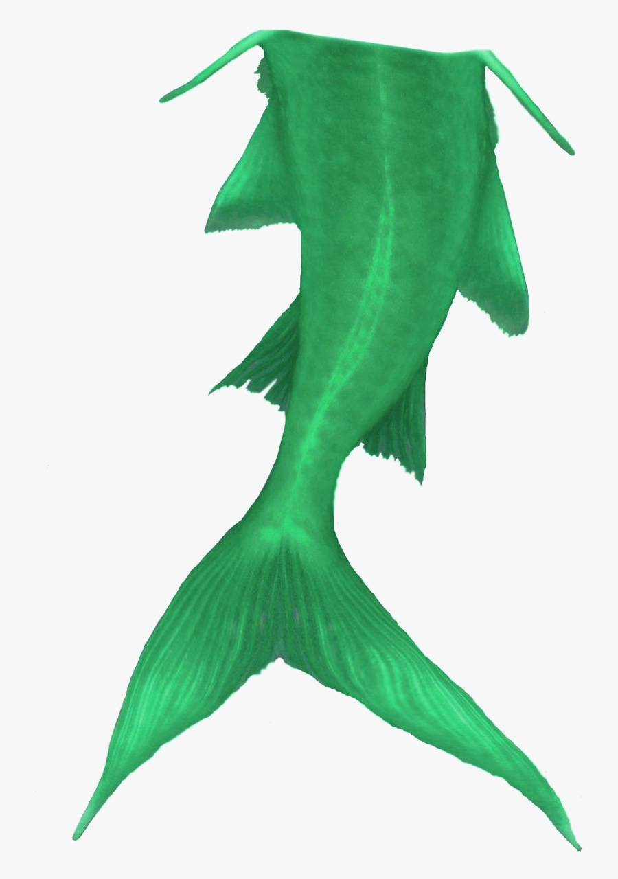 Mermaid Tail Clipart To Download - Small Mermaid Tail Clipart Transparent, Transparent Clipart