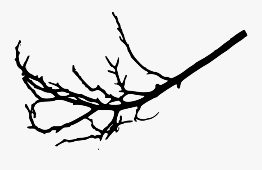 Transparent Tree Branch Clipart Black And White - Tree Branches Transparent Real, Transparent Clipart