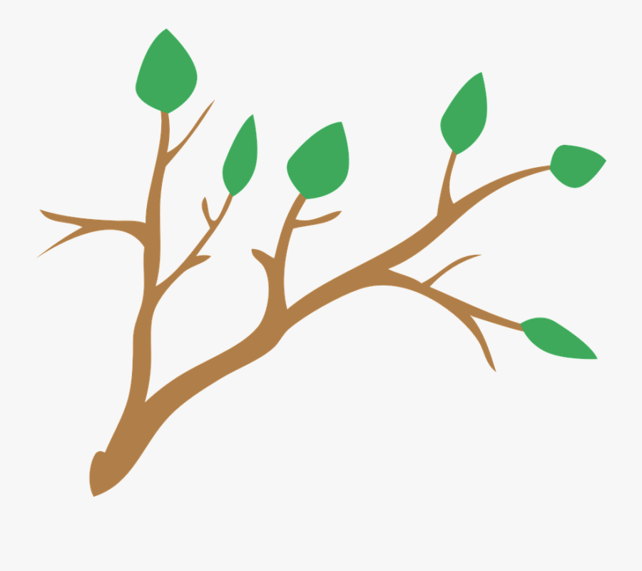 Tree Branch Vector Png - Rama Arbol Png Transparent, Transparent Clipart