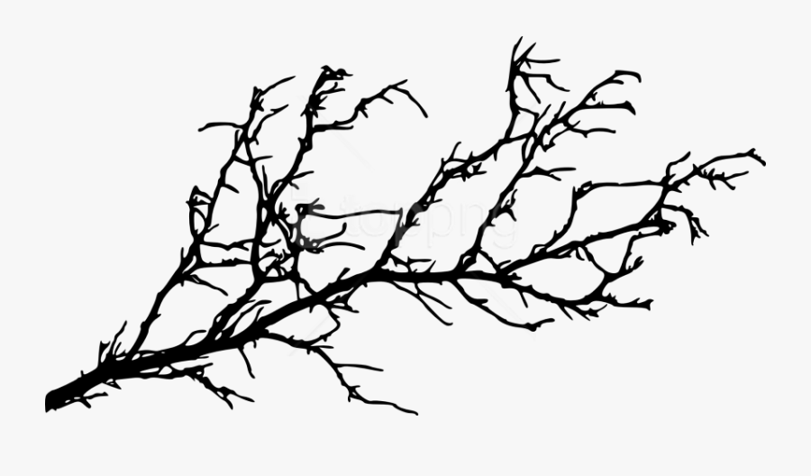 Fall Tree Branch Png - Tree Branch Silhouette Png , Free Transparent ...