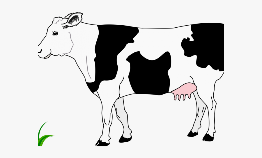 Cattle Clipart Hereford - Cow From The Side, Transparent Clipart