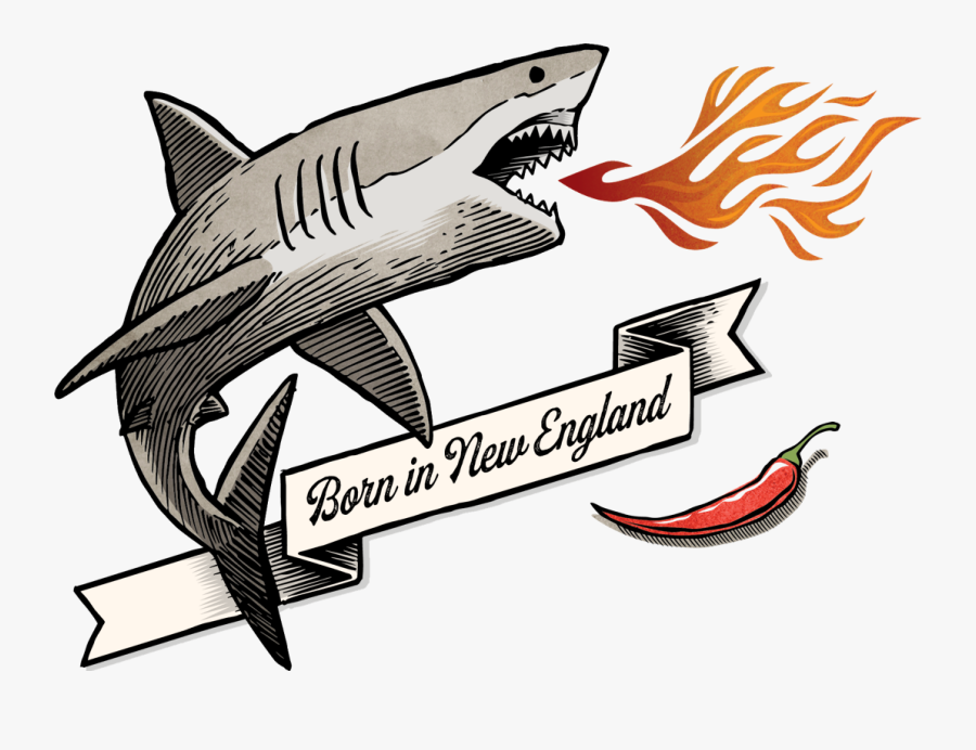 Spicy Shark, Transparent Clipart