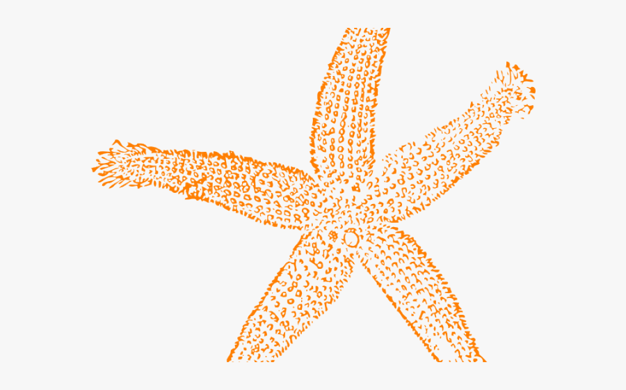 Single Clipart Chevron - Coral Starfish Clipart, Transparent Clipart