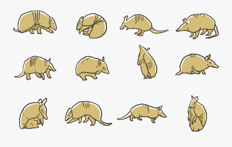 Clip Art Giant Armadillo Computer Cartoon - Armadillo Illustration, Transparent Clipart