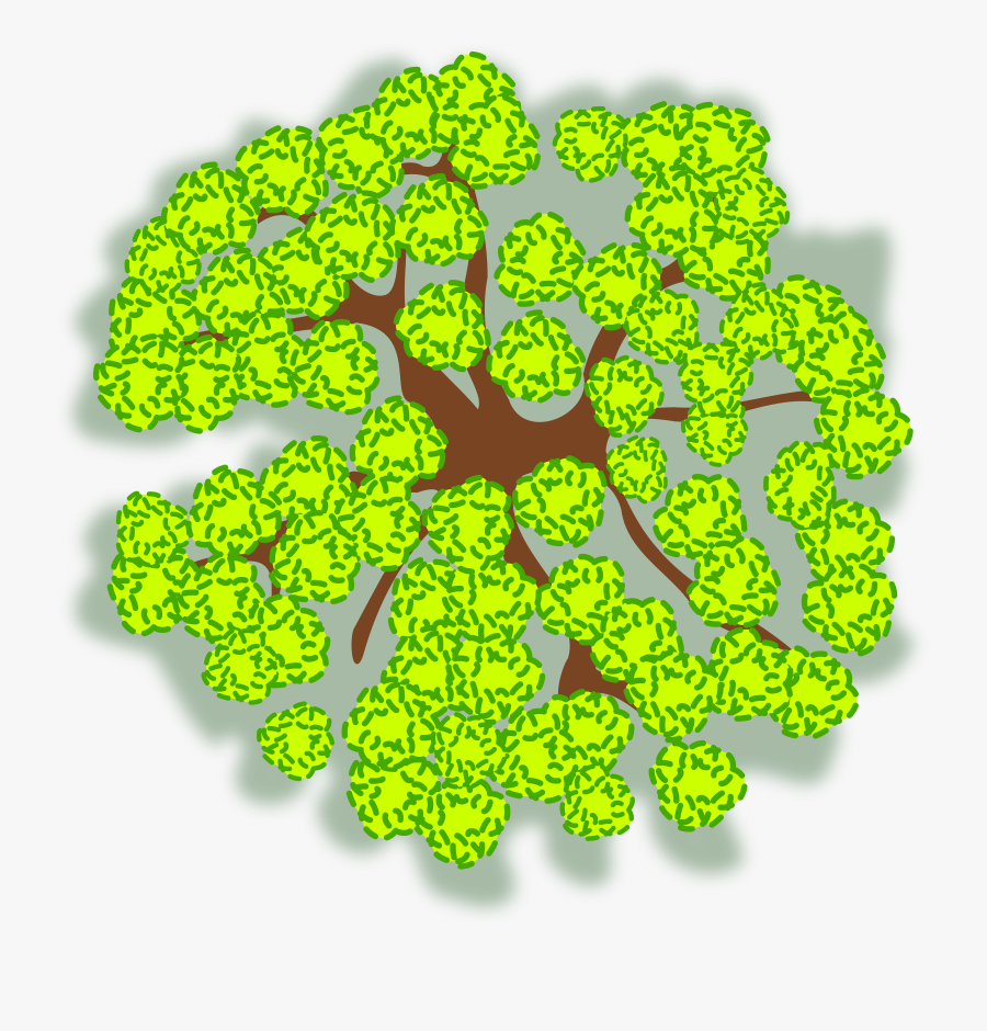 Clipart Tree 27a - Icon, Transparent Clipart