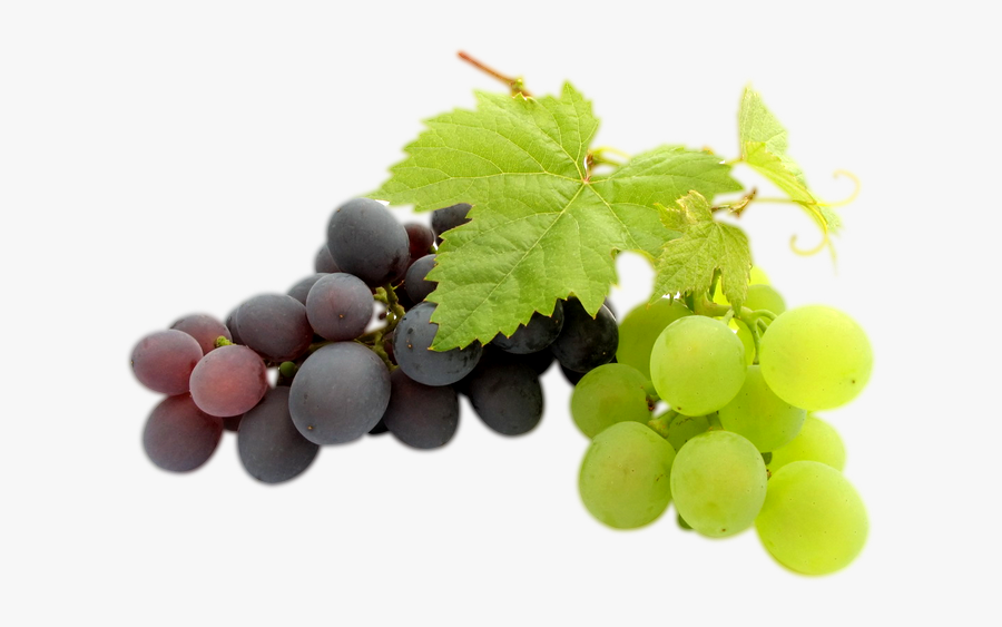 Transparent Clipart Image Grapes Png Black And Green - Natural Grape, Transparent Clipart