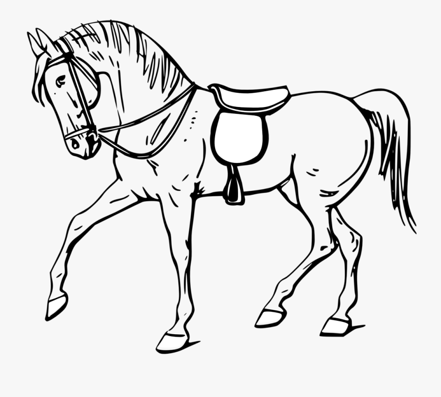 Horse Clipart Black And White - Outline Pictures Of Horse, Transparent Clipart