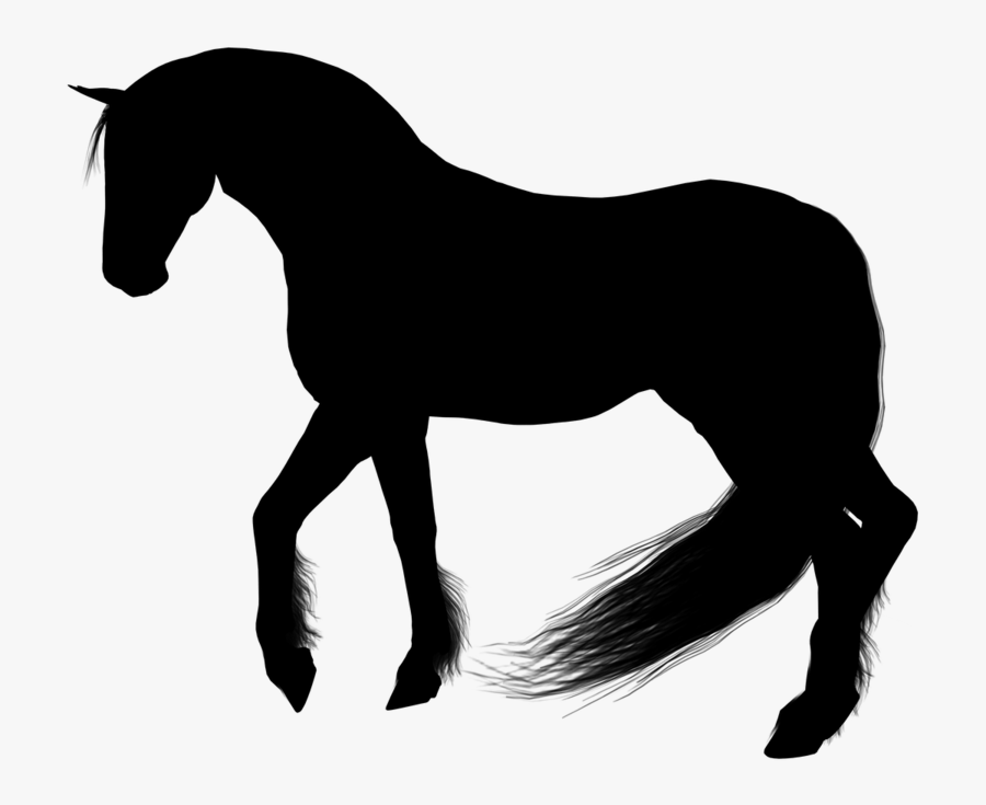 Horse Silhouette Clipart, Transparent Clipart