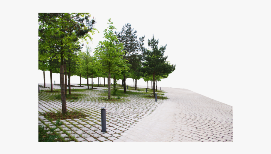 #background #park #walkway #trees #sidewalk #walk #freetoedit - Park Sidewalk Background, Transparent Clipart