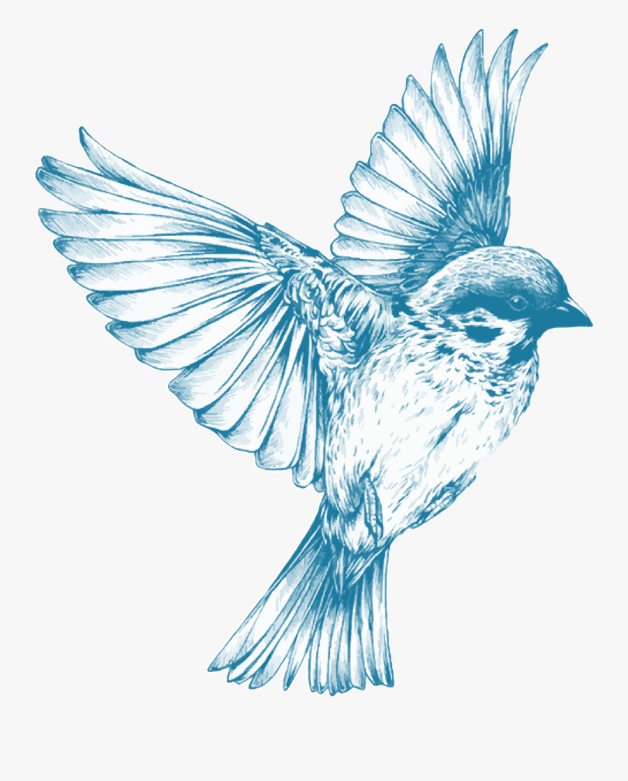 Vintage Blue Bird By Gdj This Is For My Girl Feven - Flying Blue Bird Drawing, Transparent Clipart