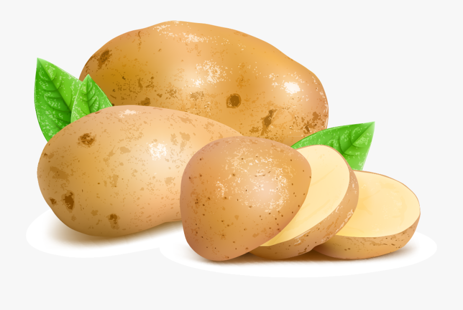 Free Potato Vector, Transparent Clipart