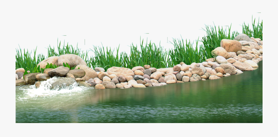 Pebbles Clipart Underwater Plant - Water Plants Png, Transparent Clipart