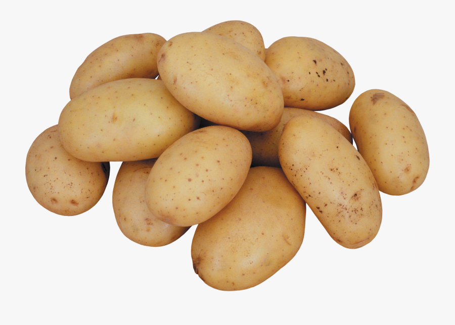 Png Image Purepng Free - Potato Png, Transparent Clipart
