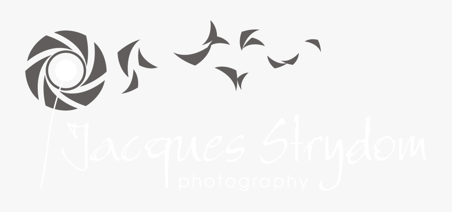 Photography Logo Png Hd Without Background, Transparent Clipart