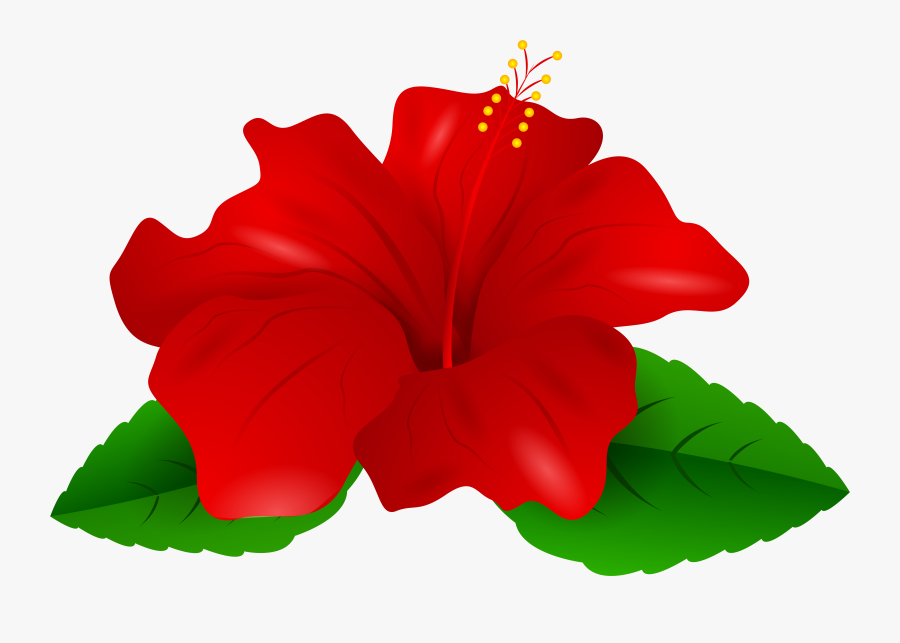 Red Hibiscus Transparent Png Clip Art - Hibiscus Clipart Png, Transparent Clipart