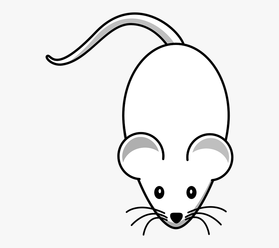 Mouse, Rodent, Animal, Mammal, Rat, Tail, Funny - Clip Art Mouse, Transparent Clipart