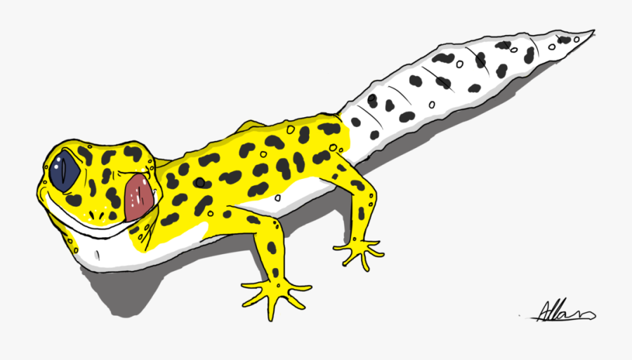 Cute Leopard Gecko Drawings 1270 leopard gecko 3d models
