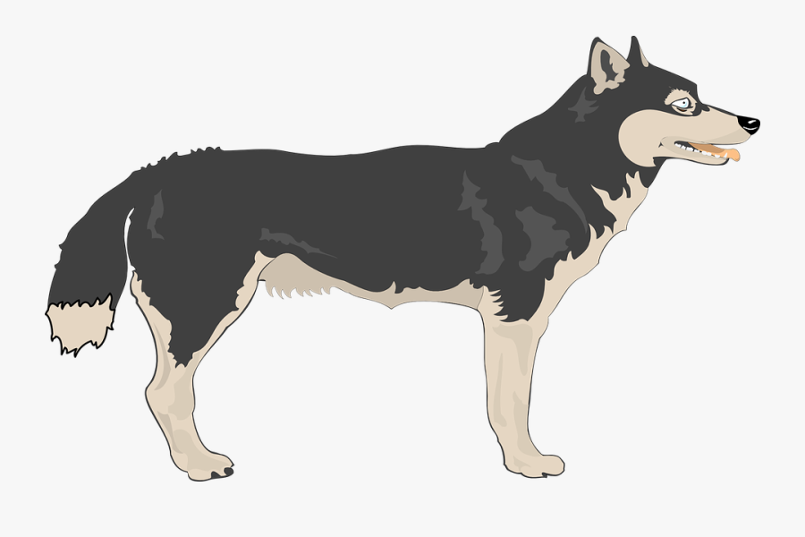 Transparent Wolf Clipart Free - Wolf Side View Png, Transparent Clipart