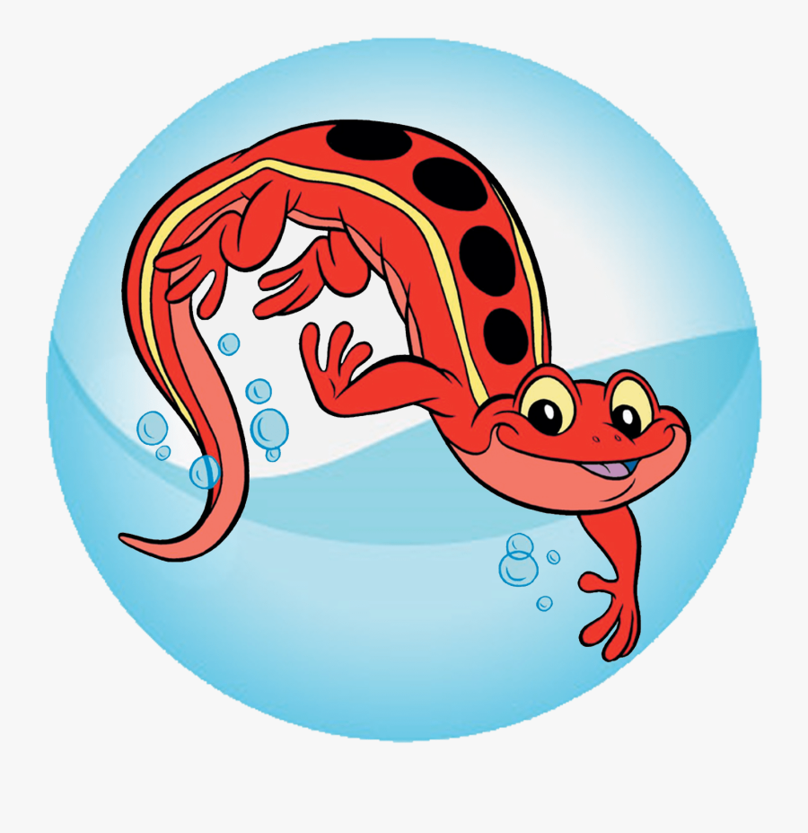 jewish salamander clipart png download etoile de mer croix rouge free transparent clipart clipartkey clipartkey