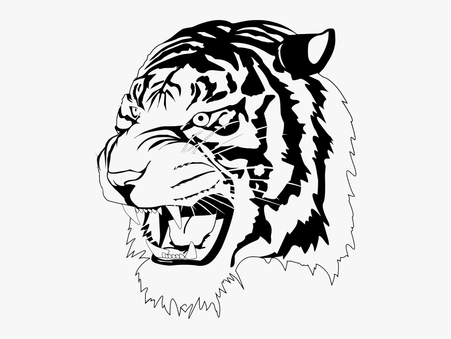 Download Tiger Svg Free Free Transparent Clipart Clipartkey