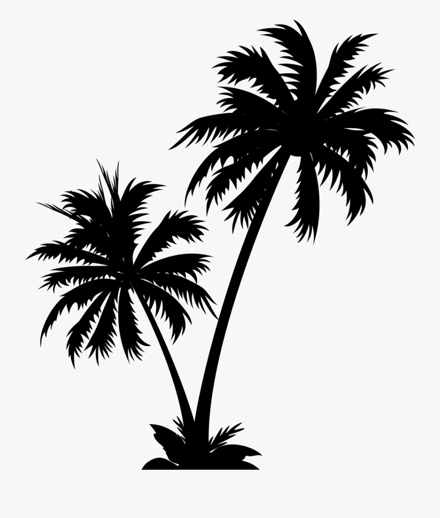 Transparent Coconut Tree Vector Png - Palm Trees Vector Png , Free