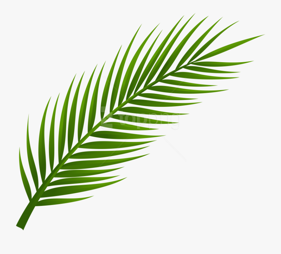 Palm Tree Clipart Gold - Transparent Background Palm Leaf Png, Transparent Clipart