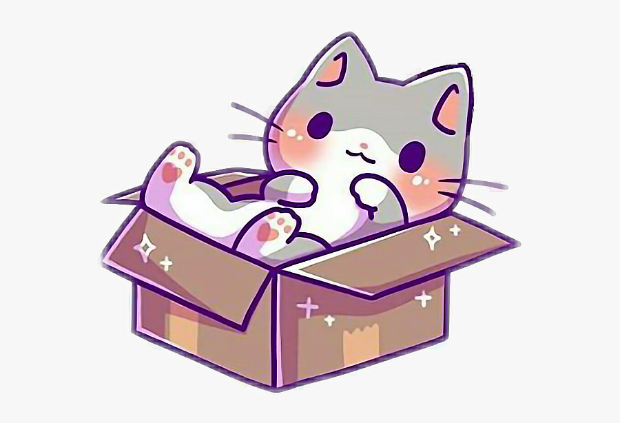 kawaii cute kitty cat kittens box kittyinabox Cat In Box