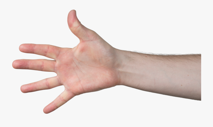 Transparent Grabbing Hand Png - Hand Reaching Png, Transparent Clipart