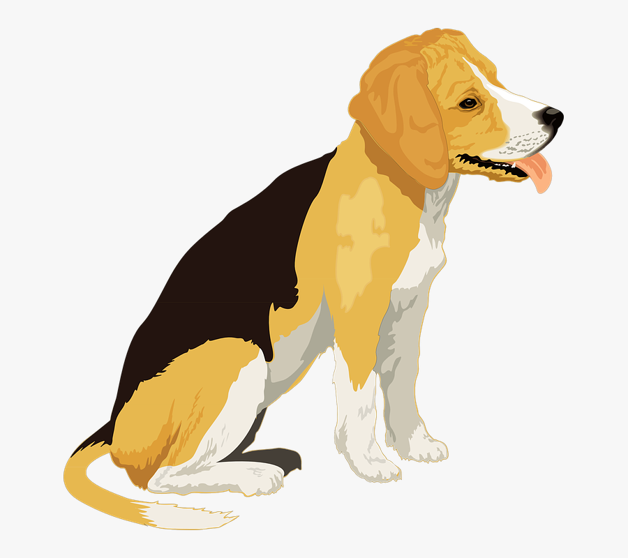 Beagle Clipart - Dog Free Clip Art, Transparent Clipart