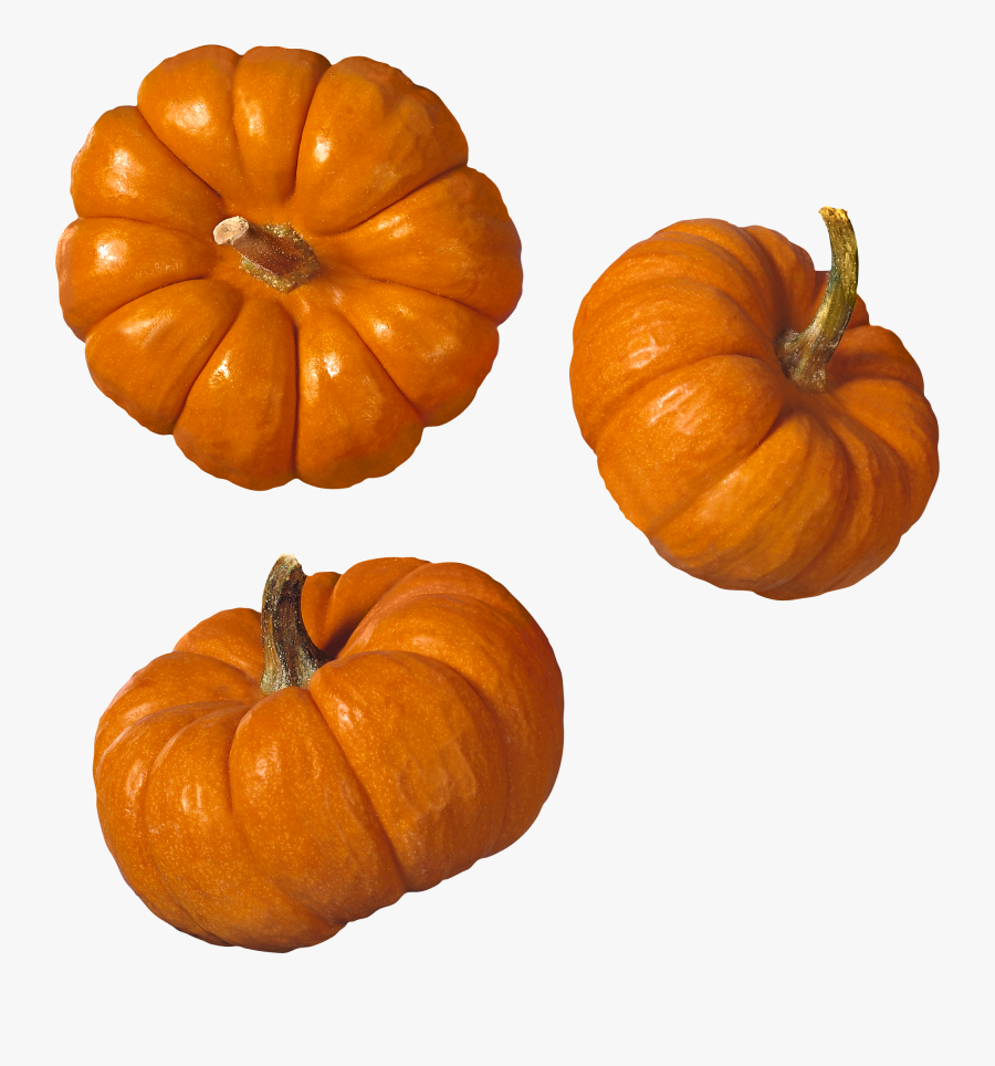 Pumpkin Png Images Free Download - Transparent Background Pumpkins Transparent, Transparent Clipart