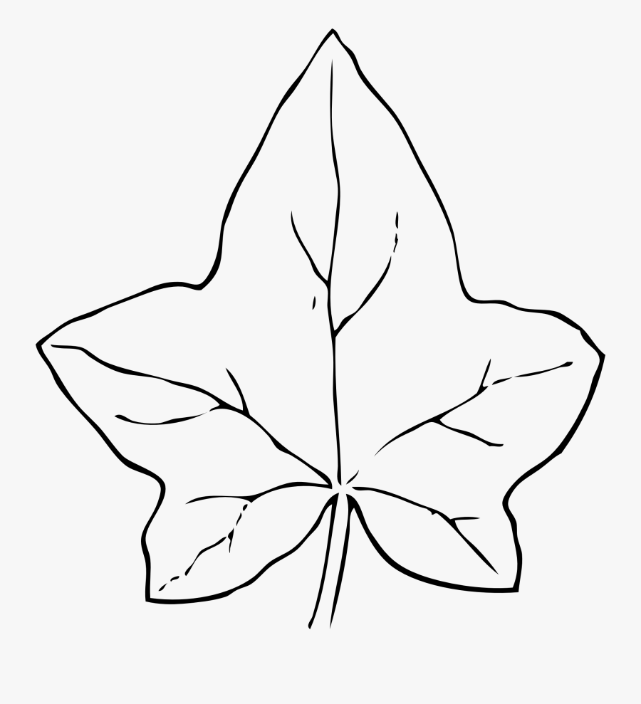 Leaf Outline Fall Leaves Search Result Cliparts For - Leaf Clipart Black And White, Transparent Clipart