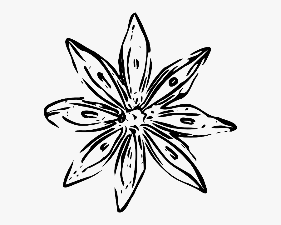 Transparent Leaf Outline Png - White Flower Outline Png, Transparent Clipart