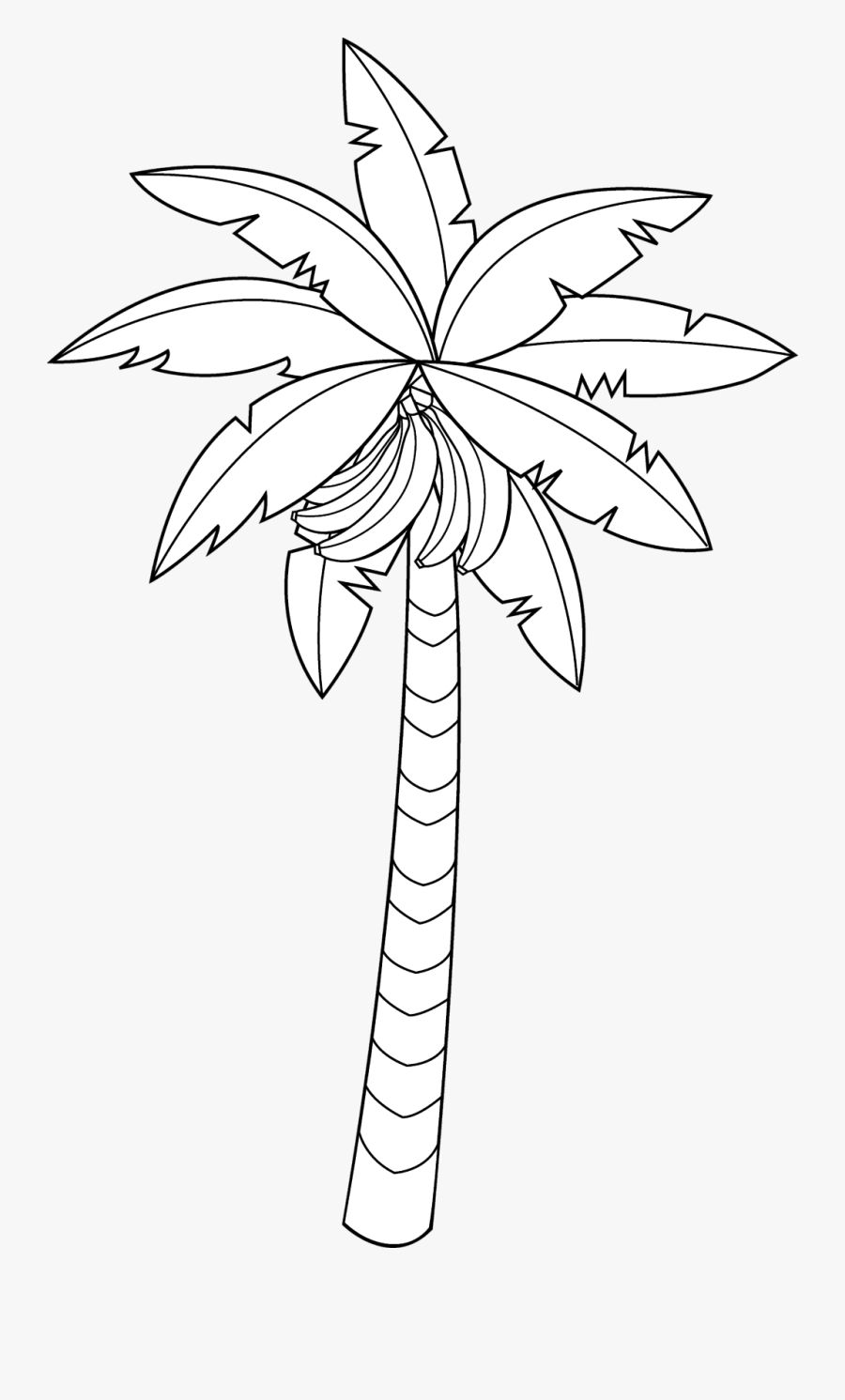 Banana Tree Leaf Outline Clipart - Banana Tree To Color, Transparent Clipart