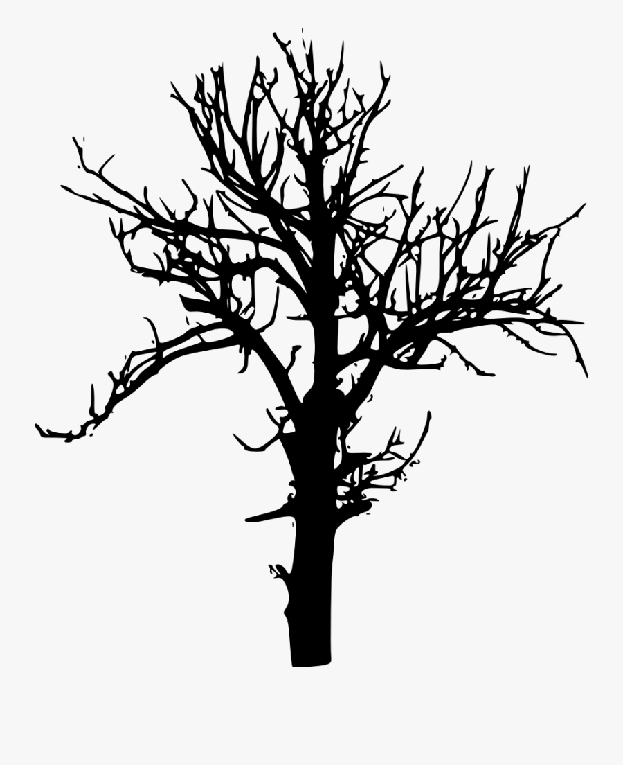 Tree-silhouette - Tree Silhouette Free Transparent Bg, Transparent Clipart