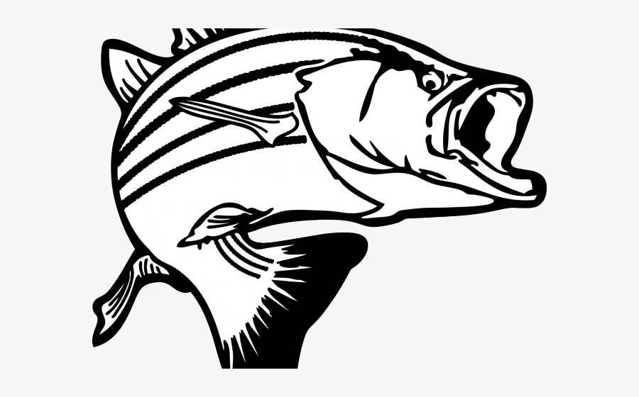 Free Fishing Clipart - Fishing Clipart, Transparent Clipart