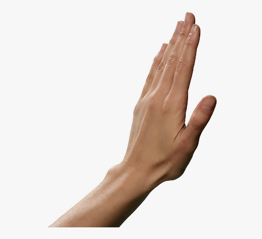 Hand png. Рука. Рука без фона. Раскрытая ладонь. Ладонь на прозрачном фоне.