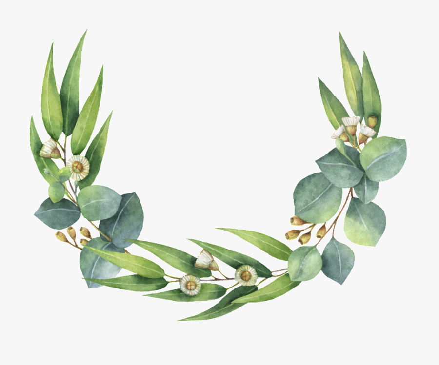 Roseta De Hojas Verdes - Clip Art Gum Leaves, Transparent Clipart