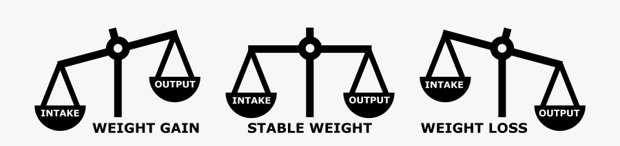 Intake And Output Lose Weight, Transparent Clipart