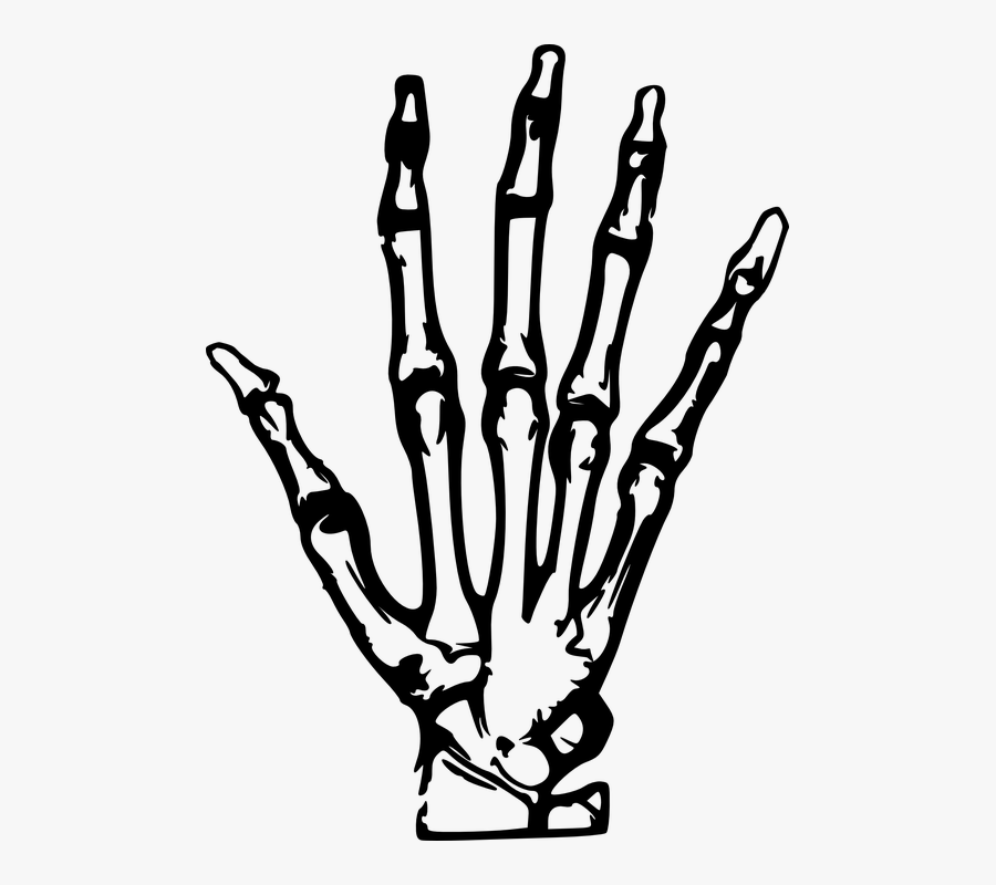 Skeleton Hand Tattoo Png, Transparent Clipart