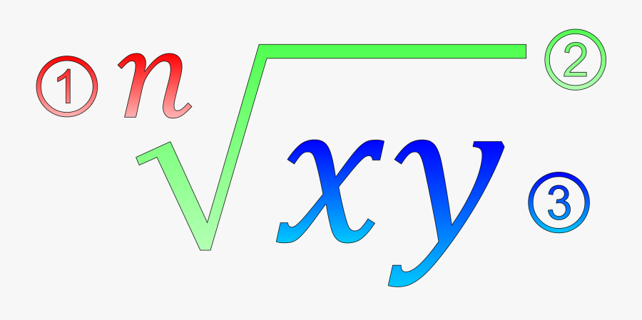 Structure Of A Root - Calculus Clipart Png, Transparent Clipart