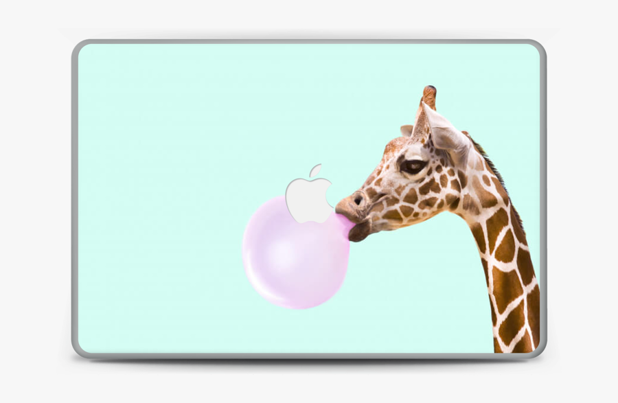 Giraffe With A Chewing Gum Skin Macbook Pro 15” - Giraffe Blowing Bubble Gum, Transparent Clipart