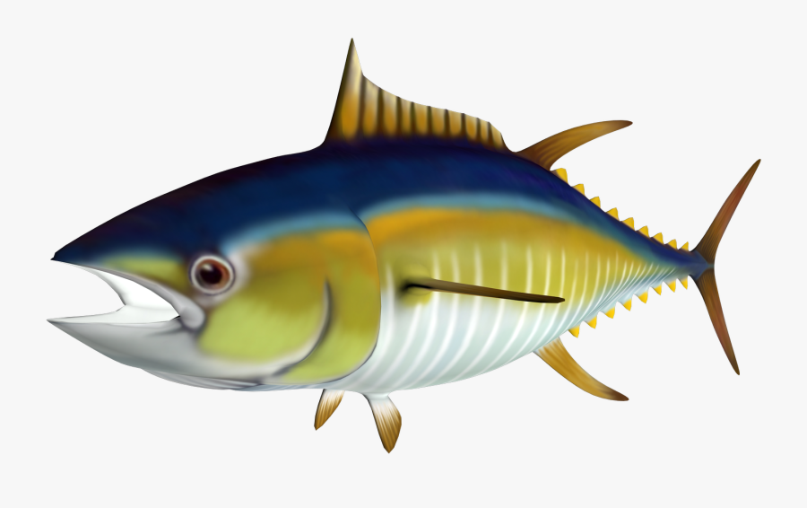 Free High Resolution Graphics And Clip Art - Tuna Fish High Resolution, Transparent Clipart