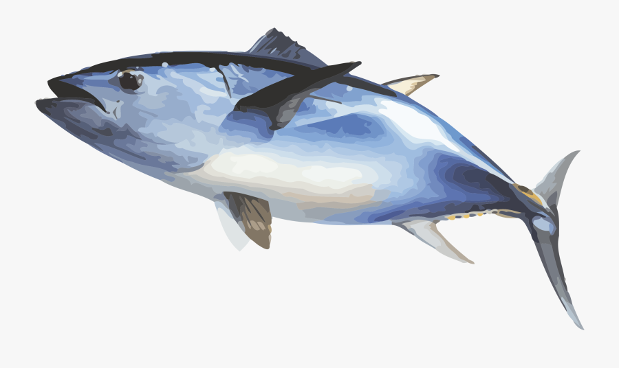 Fish Ecosia Inewconcom Your Transparent Background - Bluefin Tuna Png, Transparent Clipart