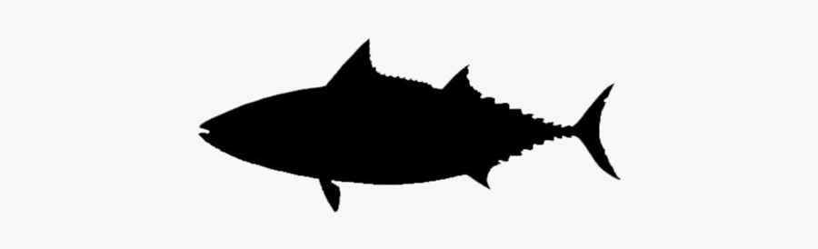 Transparent Big Tuna Fish Cartoon - Atlantic Bluefin Tuna, Transparent Clipart
