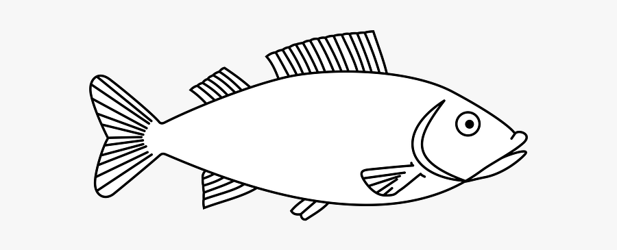 Fish Clipart Black And White Png, Transparent Clipart